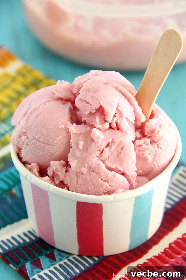 Raspberry Sherbet Recipe 7 Raspberry Sherbet