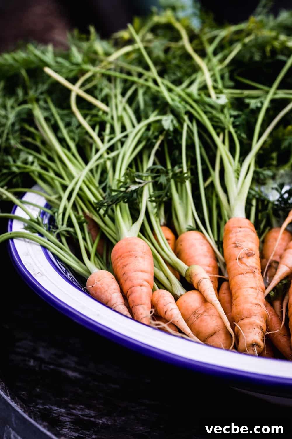DaVero Biodynamic Winery and Farms — Estate Wines 12 Fresh carrots from the land on display at Davero's pick up party.