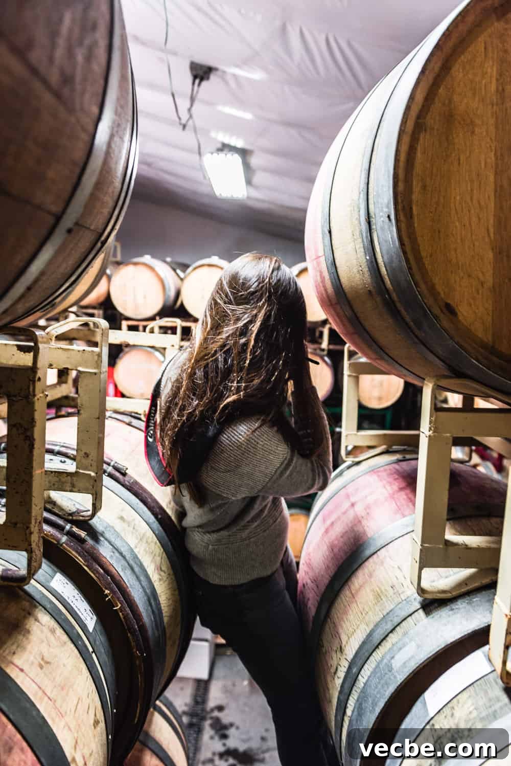 DaVero Biodynamic Winery and Farms — Estate Wines 13 Behind the scenes shot of me taking pictures in Davero's biodynamic farm and winery barrel room.