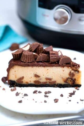instant pot peanut butter cheesecake slice