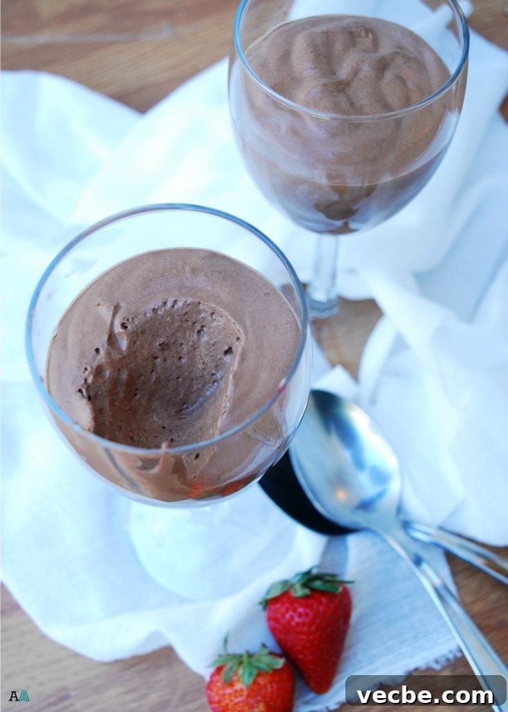 Chocolate Mousse for Two: Gluten, Dairy and Top-8 Free 5 Chocolate Mousse For Two (GF, DF, Egg, Soy, Peanut, Tree nut Free, Top 8 Free) by Allergy Awesomeness