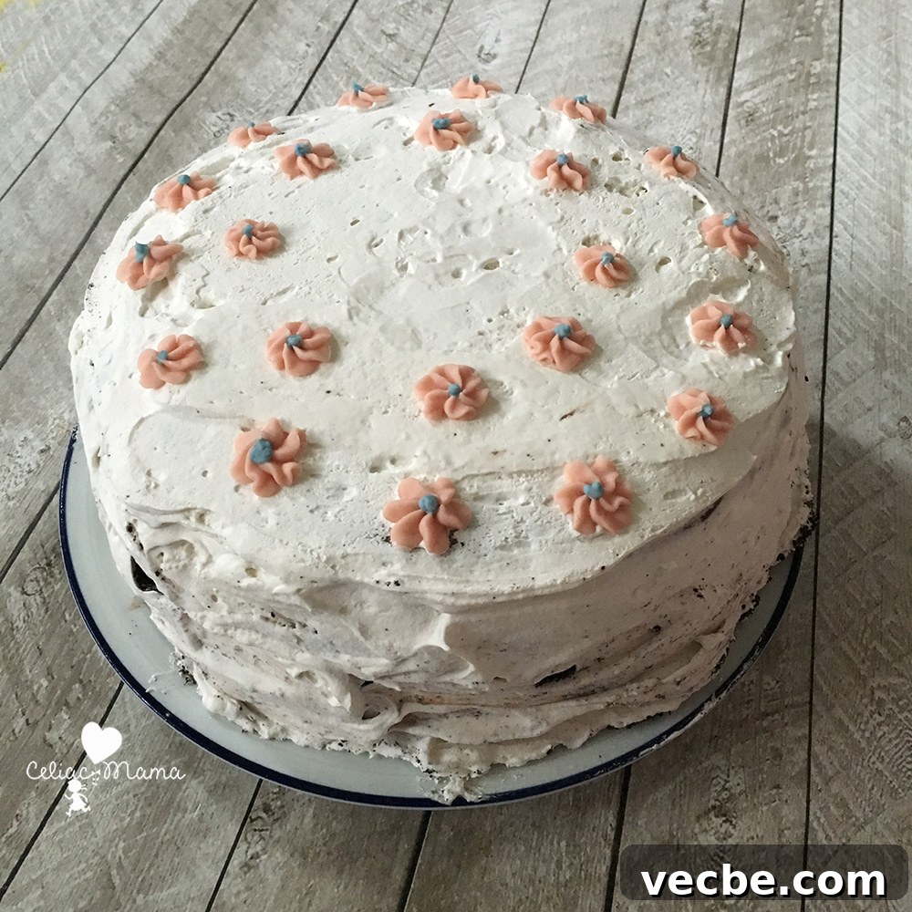 Gluten-Free Dairy-Free Ice Cream Cake Recipe 2 gluten-free-dairy-free-ice-cream-cake