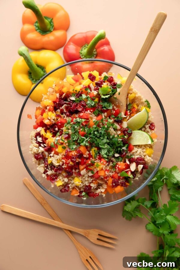 Vegan Cauliflower Fried Rice Recipe 8 Cranberry Cilantro Quinoa Salad