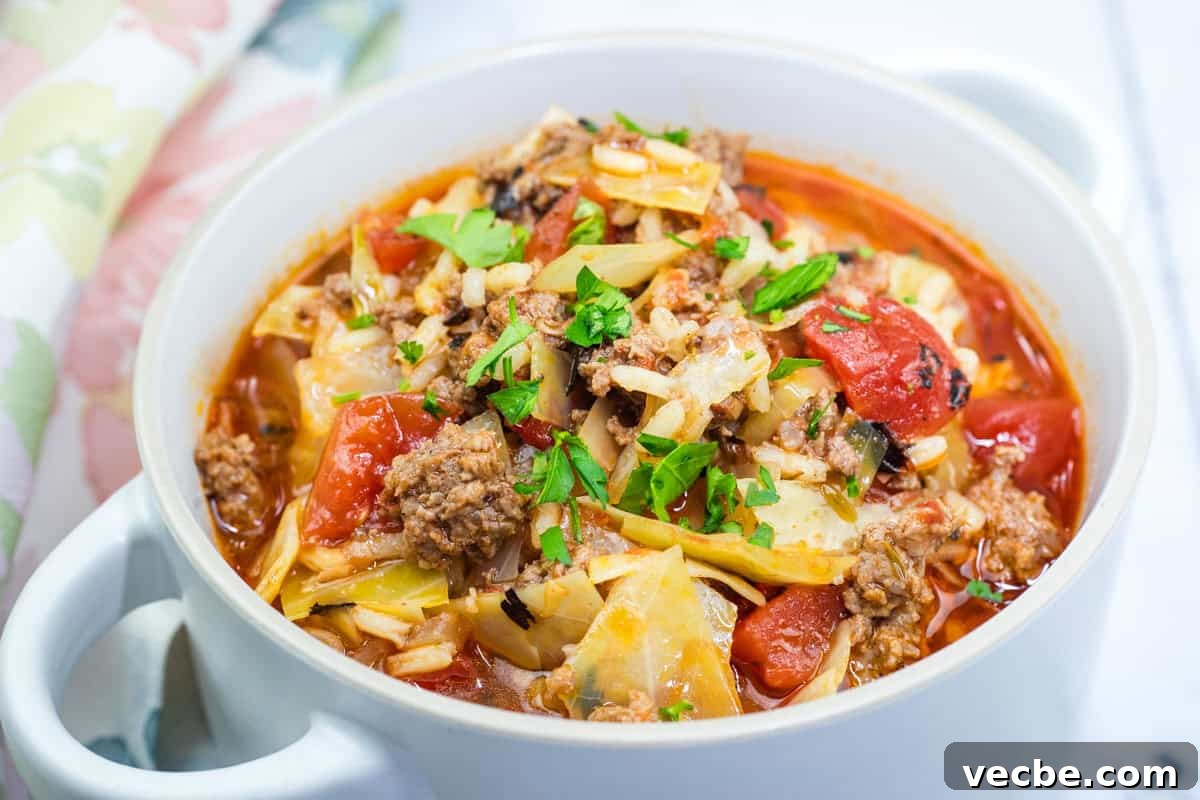 25 Ground Beef Recipes for Real Weeknight Dinners 11 A bowl of cabbage roll soup with ground meat, chopped tomatoes, and rice, garnished with fresh parsley.