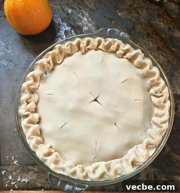 Classic Homemade Chicken Pie Recipe 5 Beef Pie with Olives and Herbs