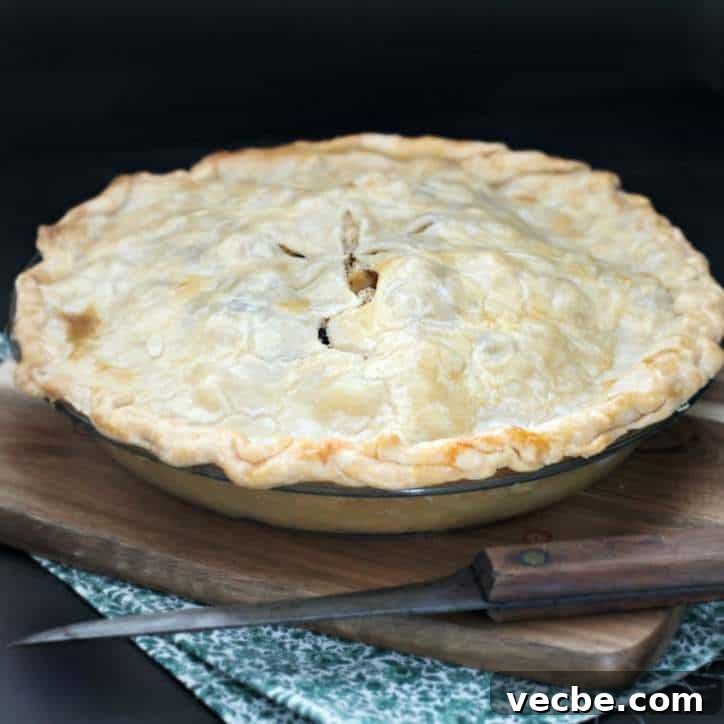 Classic Homemade Chicken Pie Recipe 6 Easy Chicken Pie