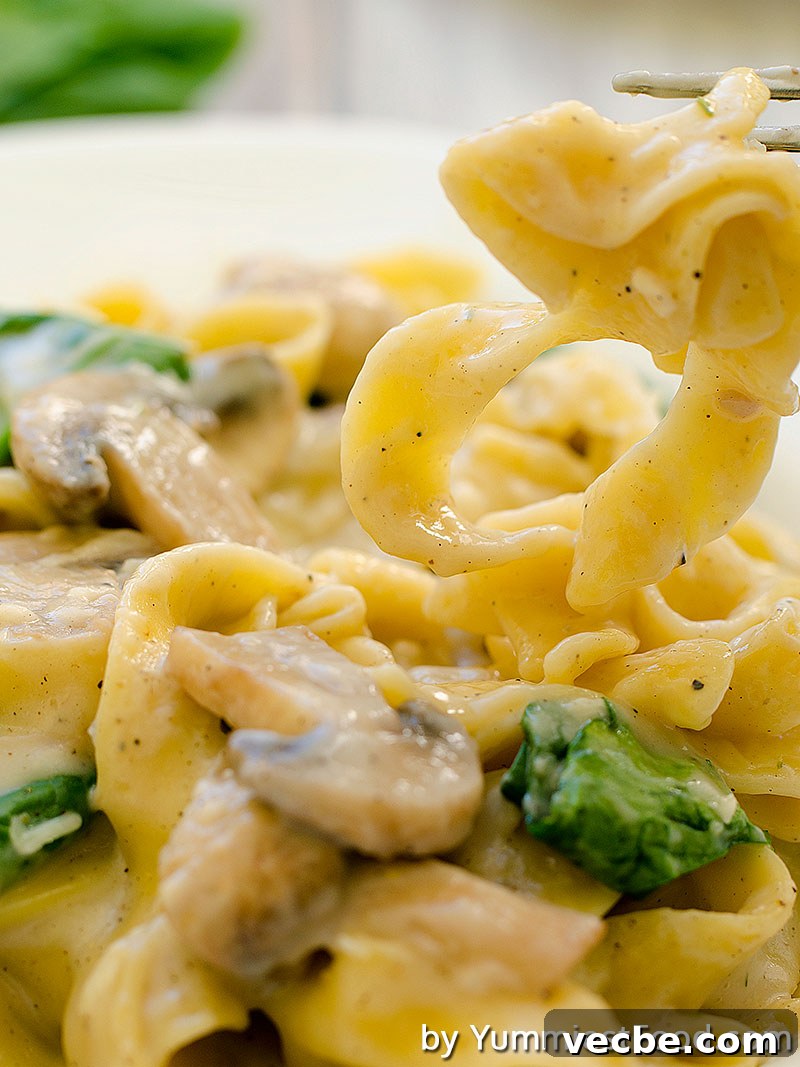 Creamy Fettuccine with Mushrooms and Spinach 3 Fettuccine Pasta With Mushrooms and Spinach - Close Up