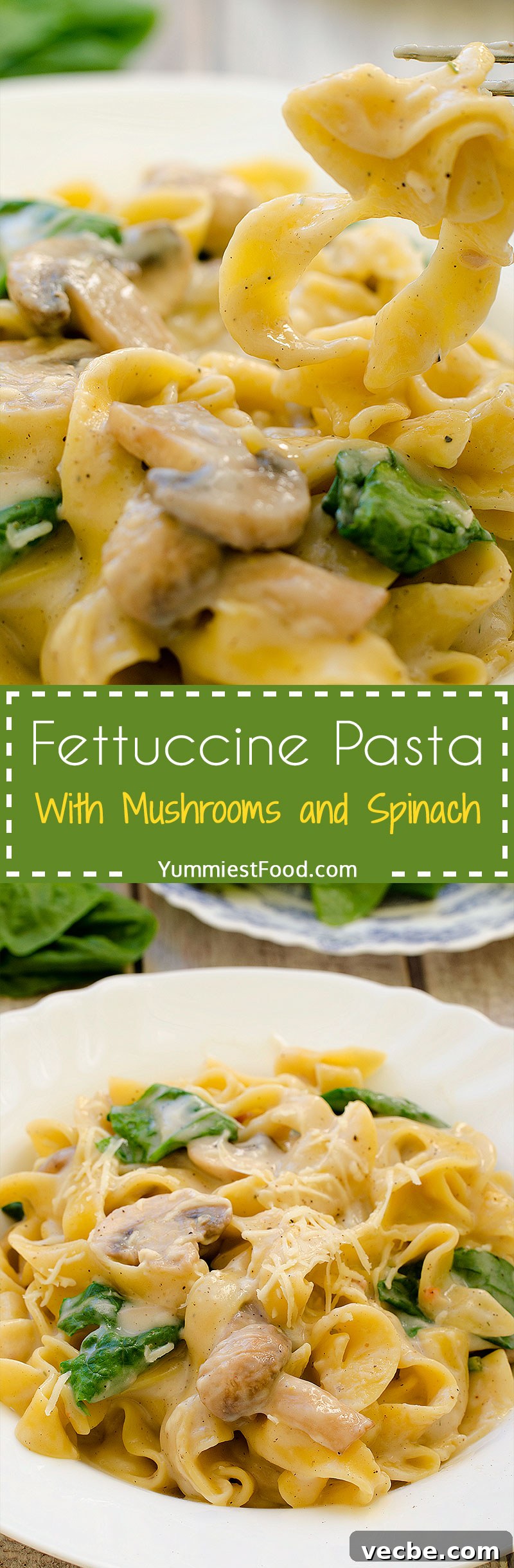 Creamy Fettuccine with Mushrooms and Spinach 5 Fettuccine Pasta With Mushrooms and Spinach - plated