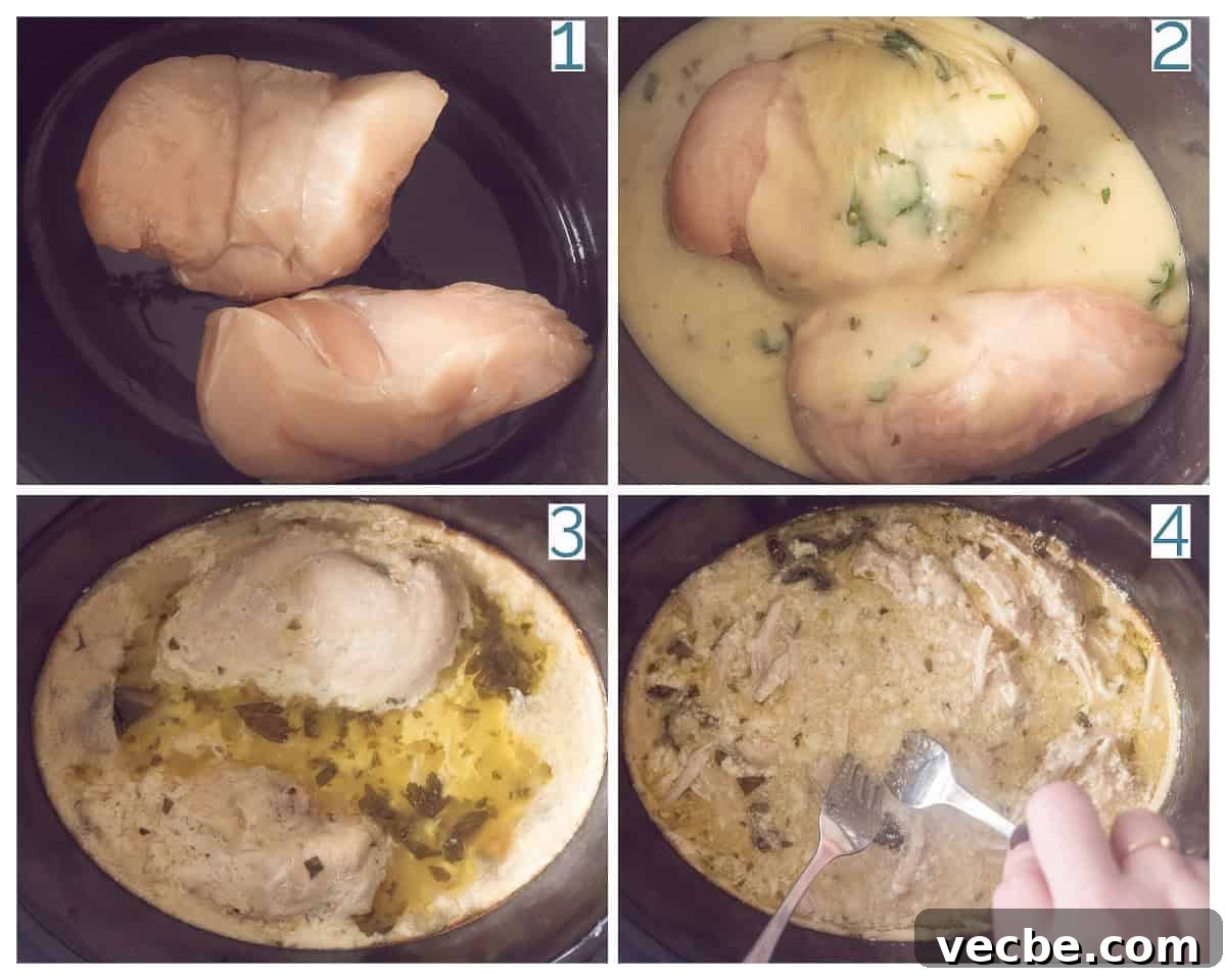 Slow Cooker Garlic Parmesan Chicken with Fusilli 4 4 collage photo Slowcooker Chicken with Garlic Parmesan Sauce