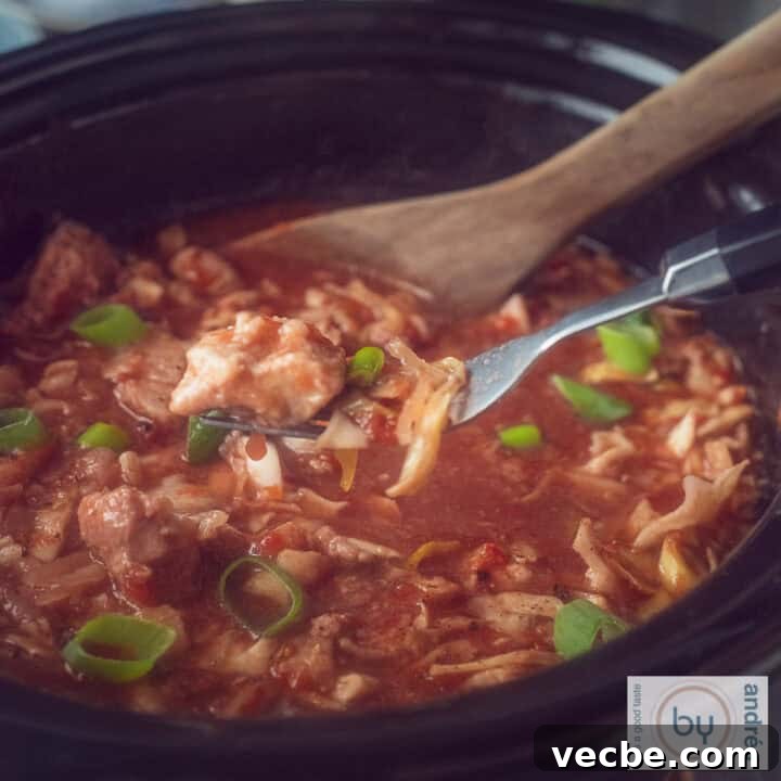 Slow Cooker Ham and Cabbage Stew