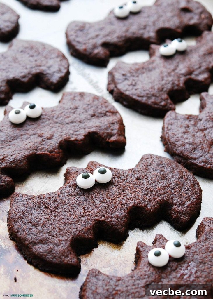 Allergy Friendly Chocolate Sugar Cookie Bats for Halloween 2 img 2511 1