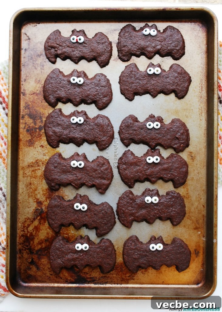 Allergy Friendly Chocolate Sugar Cookie Bats for Halloween 3 Vegan Chocolate Sugar Cookie Bats