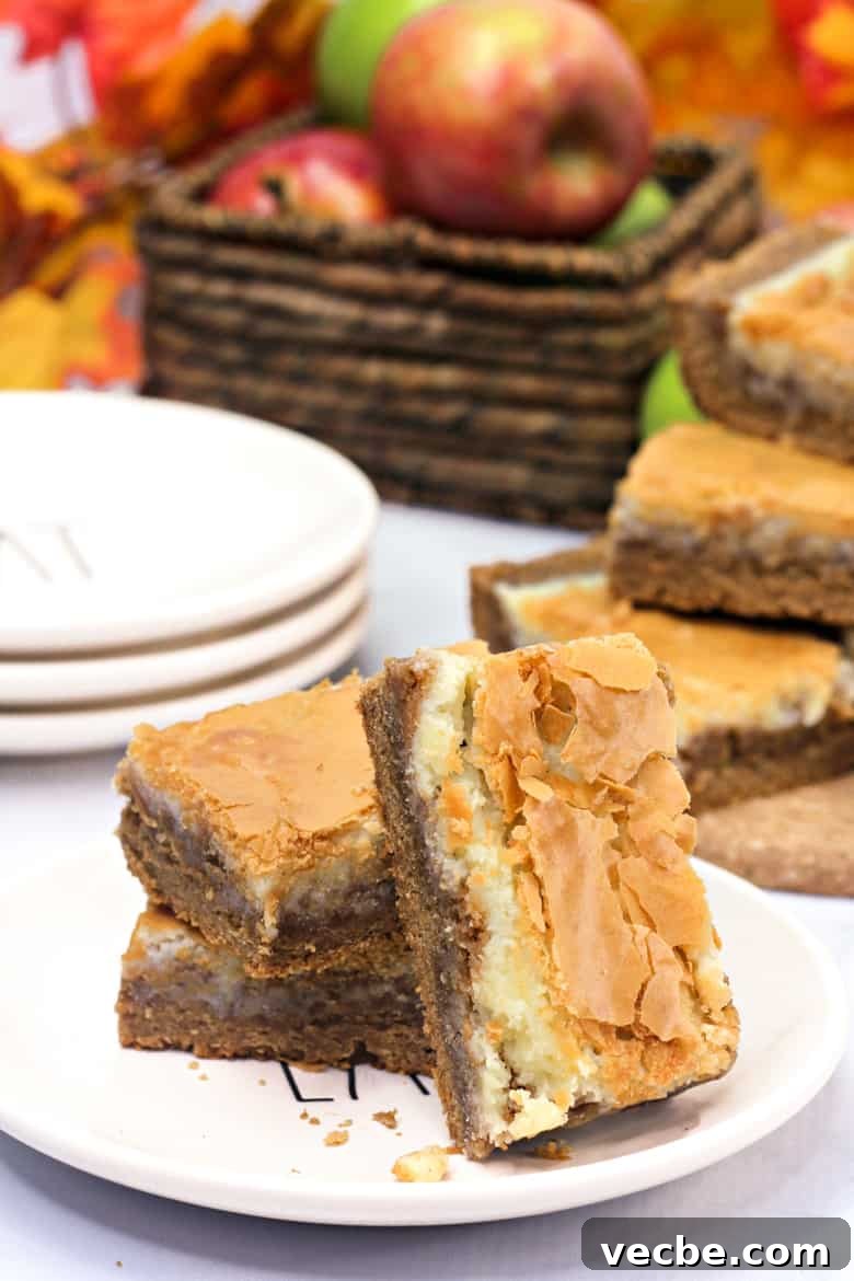 Autumn Harvest Spice Bars with Maple and Cinnamon 2 harvest spice bars on plate