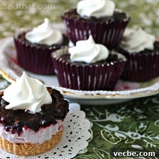Frozen Wild Blueberry Desserts